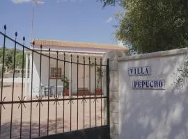 Casa con piscina de agua salada Villa Pepucho 2