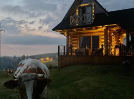 Little House, holiday home in Ząb