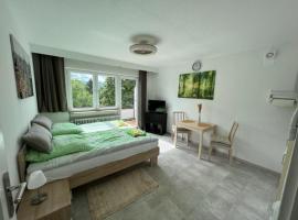 Ruhiges Apartment 7X24 Check-in, hotel v Stuttgarte