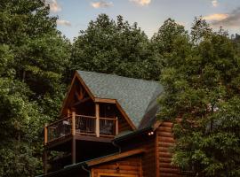 Treetop Hideaway at Barr5 Ranch, hotel in Dunlap