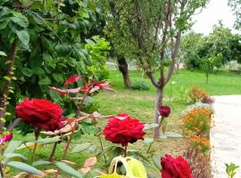 Meti Guest House, casă de vacanță din Kruja