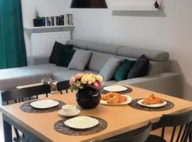 Nowoczesny apartament z widokiem na park