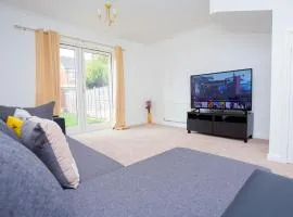 Intellect Suites