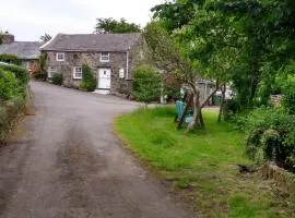 Pandy cymunod