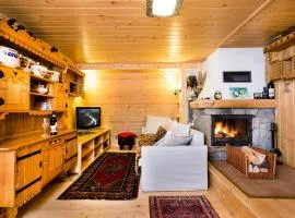 Domki Janosik - Góralski domek z kominkiem, na dużej ogrodzonej działce, przyjmujemy psy bezpłatnie, Łopuszna blisko Nowego Targu i Białki Tatrzańskiej na Podhalu