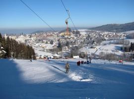 HOTEL VINTÍŘ, ŠUMAVA – hotel w mieście Sušice