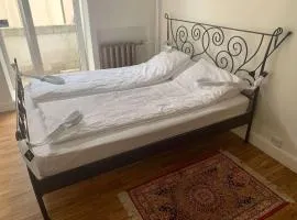 Modern 2-room flat in the city center