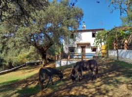 La Encina Casa Rural, country house in El Quejigo