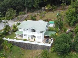Bottle Palm Villa