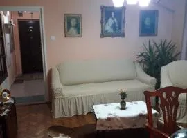 Cozy, central 1-bedroom apartment in Timisoara, Romania