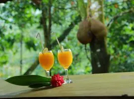 Rainforest Edge