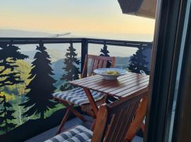 SkyKop Apartmani, hotel v destinácii Kopaonik