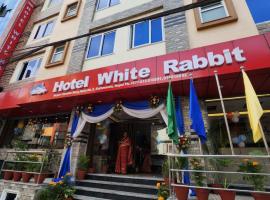 카트만두 트리부반 국제공항 - KTM 근처 호텔 Hotel White Rabbit