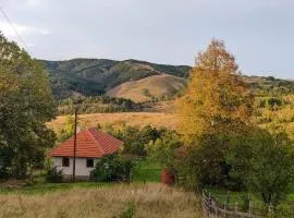 Studenac Mionica