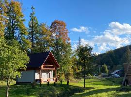 Котедж На Лузі, holiday rental in Verkhne-Studeny