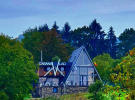 Cabana Vlad Maramureș, hotel in Deseşti