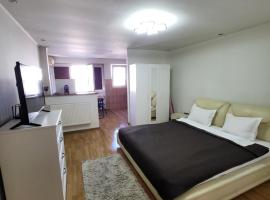 Avrig-Ferdinand Studio, hotel in Boekarest