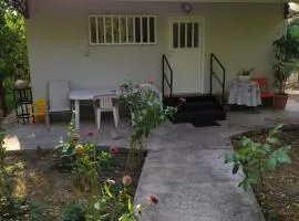 The Green Garden in AGIA VASSA SMALL