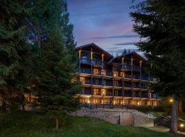 Ana Hotels Bradul Poiana Brasov, spa hotel in Poiana Brasov