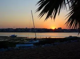Beautiful 1-Bed Apartment in Aldeia de Paio Pires