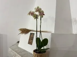 Il Granaio casa vacanze