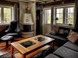 Great apartment in Trysil, ski inout, wifi, sauna, hotel i Trysil