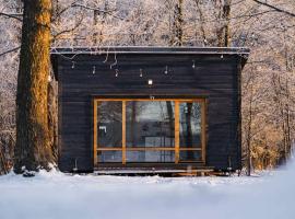 Beautiful Tiny house on the lake side., kotedžas mieste Trakai