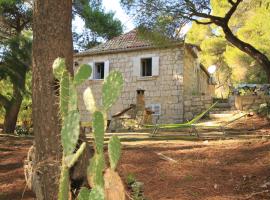 Apartments by the sea Milna, Vis - 8490, hotelli kohteessa Vis