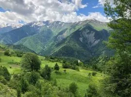 LeriMari