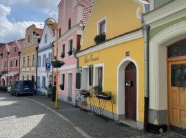 Apartmány Žlutý domeček, ubytování v soukromí v destinaci Třeboň