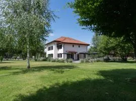 Pensiunea Negoiu