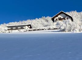 Nocky Mountains Lodge โรงแรมที่สัตว์เลี้ยงเข้าพักได้ในราเดนไทน์