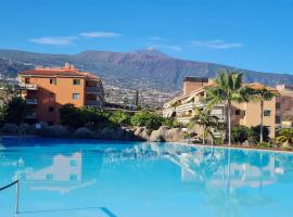 Retama del Teide, Puerto de la Cruz