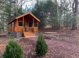 Lakewood Park Campground - Luxury Cabin, sumarhús í Barnesville