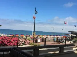 Appartement FACE MER accès direct plage