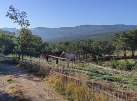 Domaine du Cruvelet Grand gite, guest house in Trigance