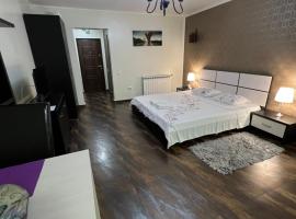 Studio Casa, hotel pro pobyt s domácími mazlíčky v destinaci Galaţi