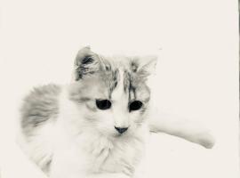 PRINCESSE DES NEIGES, Hotel in Saint-Aventin