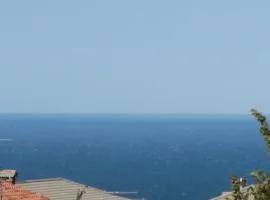 Trieste Panoramico