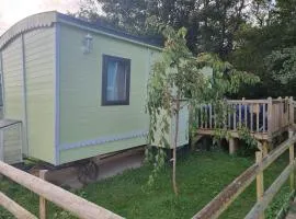 Glamping Hut - Riverview 4