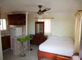 Studio with Free Wi-Fi Near Sirena Jumbo San Isidr