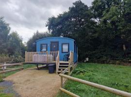 Large Glamping Hut - Riverview 13, hotel in Welshpool