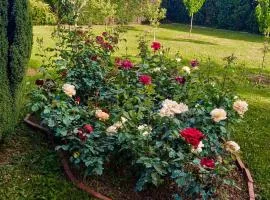 Sun Garden