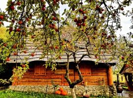 Jabłoniowa Chatka – obiekty na wynajem sezonowy w Kalwarii Pacławskiej