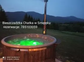 Bieszczadzka Chatka- domek góralski