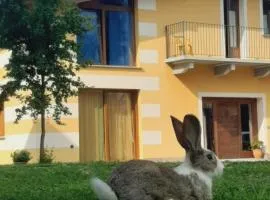 Agriturismo Fior Di Campo