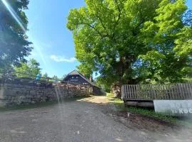 koča na pikovem