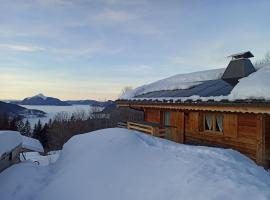 Chambre d'hôte dans chalet près des pistes et aux départs de randonnées, resorts de esquí en Les Carroz d'Arâches