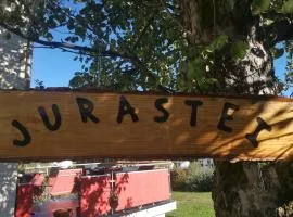 Jurastei 16