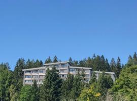 Panorama Bayerwald, hotel with parking in Neureichenau